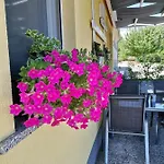 Flora ميدولين