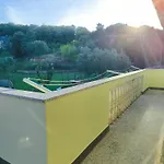Flora