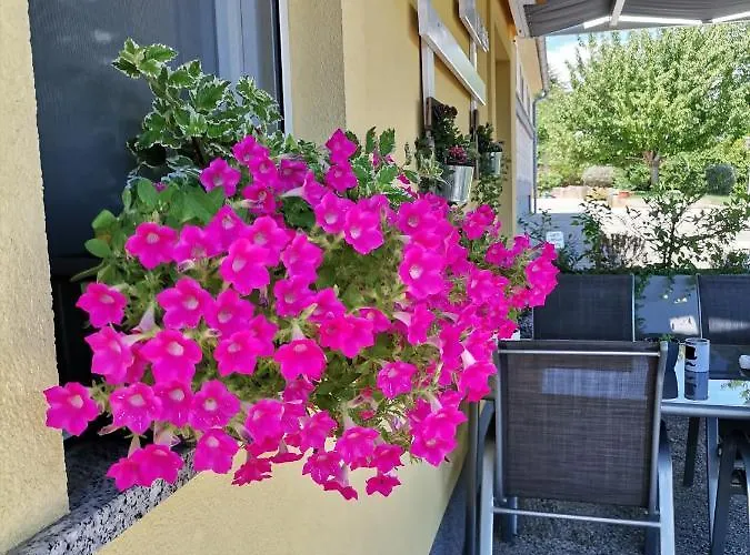 Flora Medulin