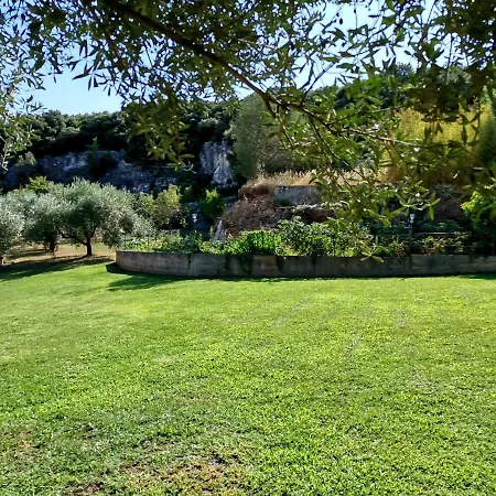 Flora