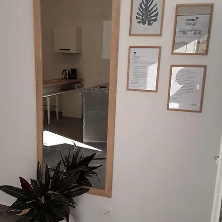 Flora